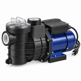 Big Jack 0.75 HP Swimming Pool Pump